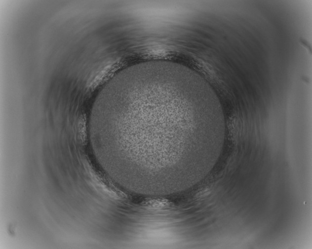 X0000102830642200808251134