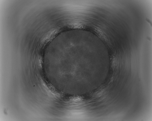 X0000102830643200808251134