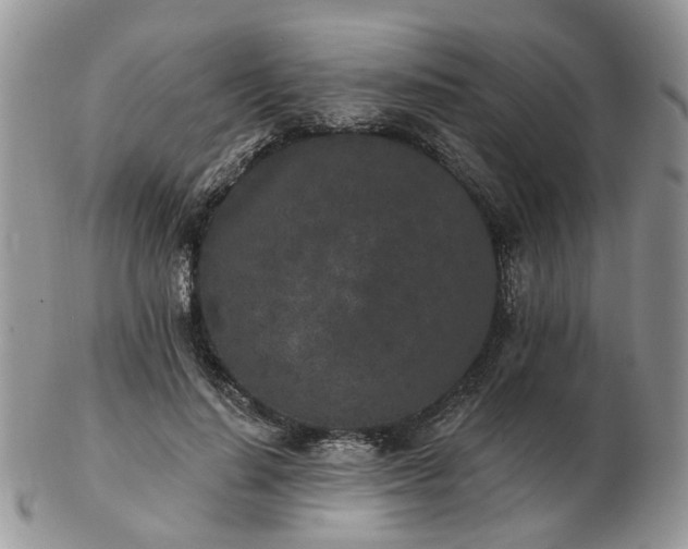 X0000102830644200808251134