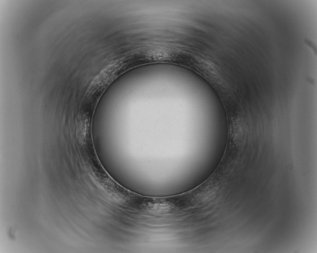 X0000102830645200808251134