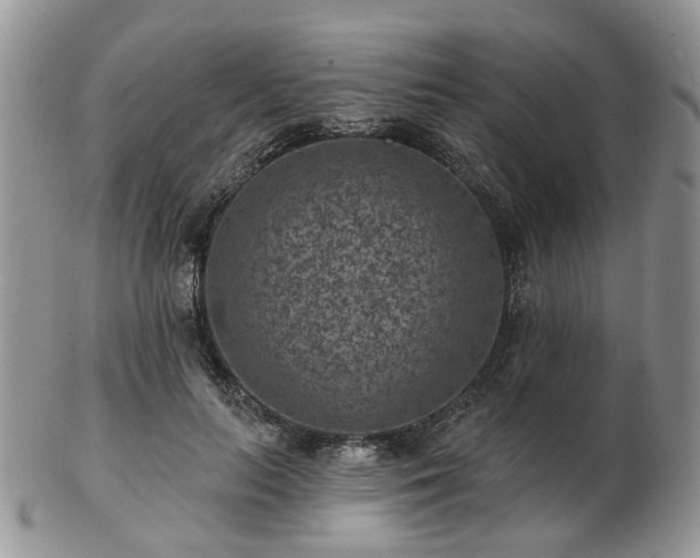 X0000102830647200808251134