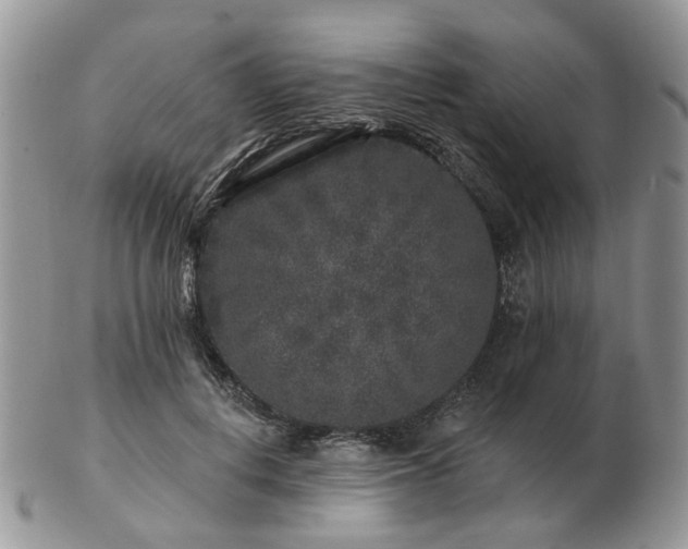 X0000102830648200808251134