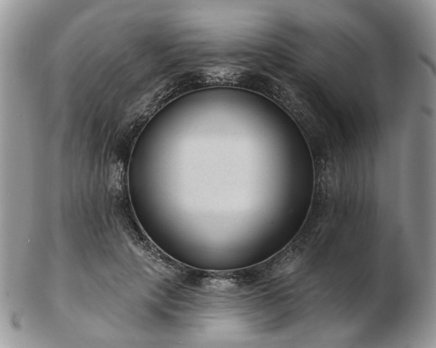 X0000102830649200808251135