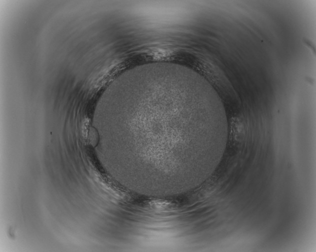 X0000102830650200808251135