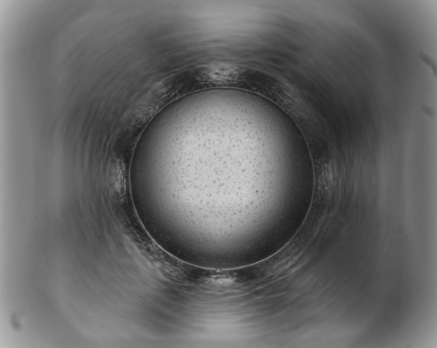 X0000102830651200808251135