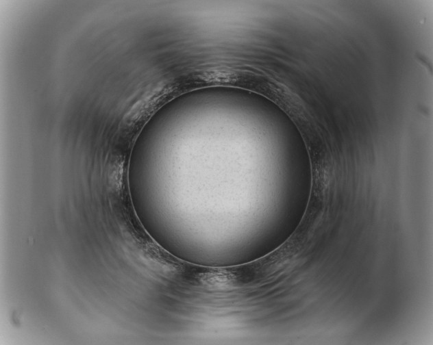 X0000102830652200808251135