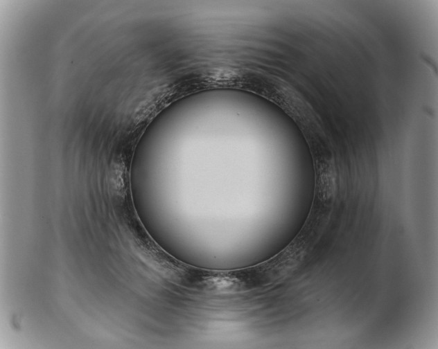 X0000102830654200808251135