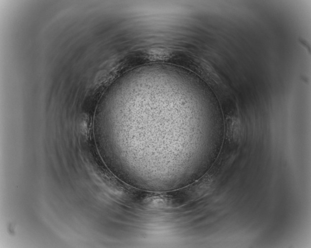 X0000102830655200808251135