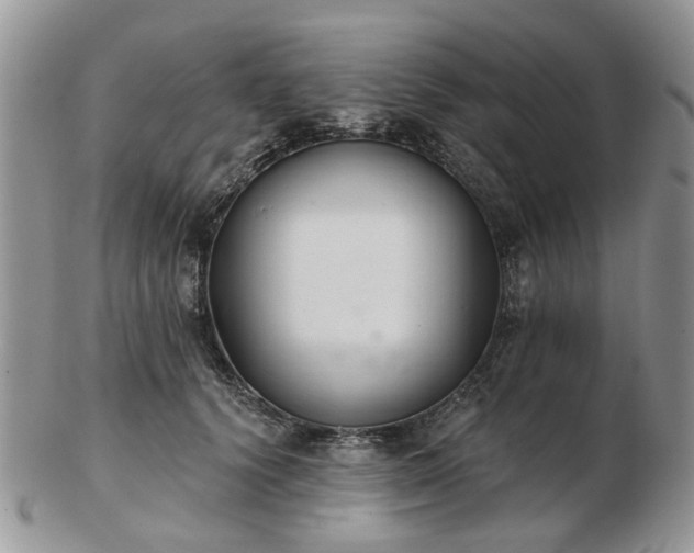 X0000102830656200808251135