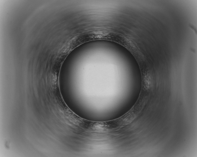 X0000102830657200808251135