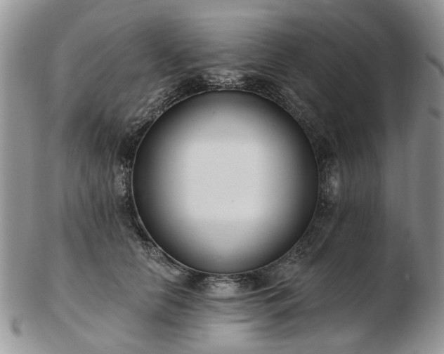 X0000102830658200808251135