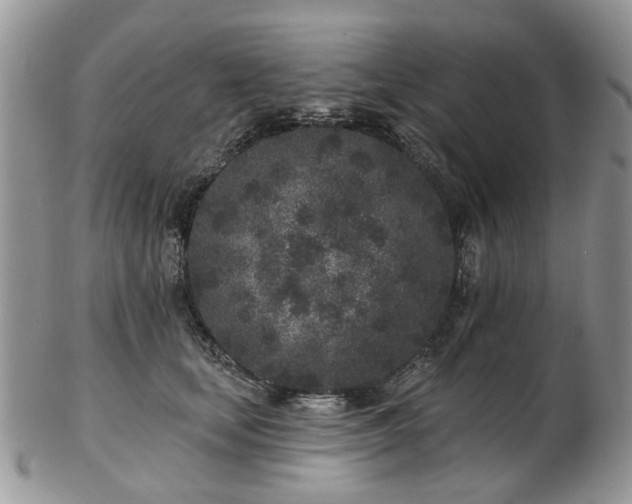 X0000102830659200808251135