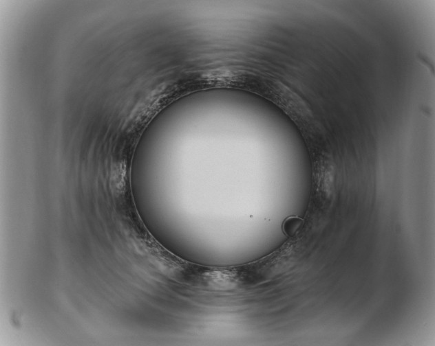 X0000102830660200808251135