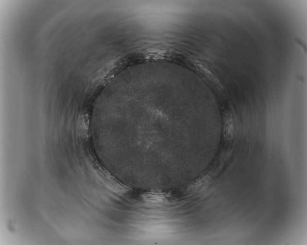 X0000102830661200808251135