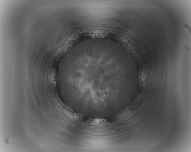 X0000102830663200808251135