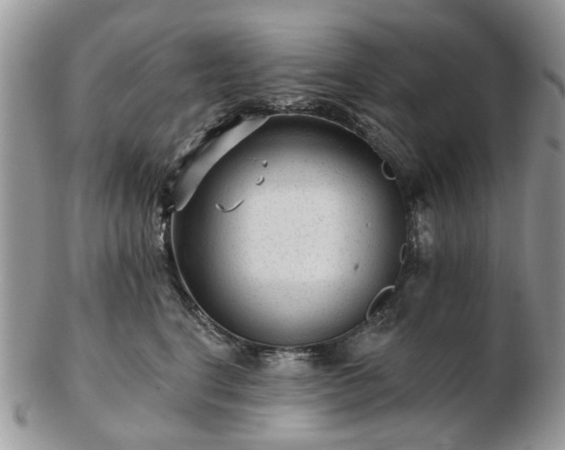 X0000102830664200808251135