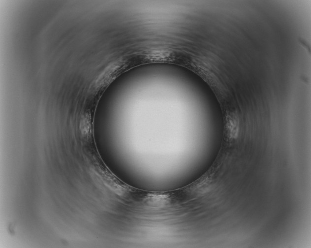 X0000102830665200808251135