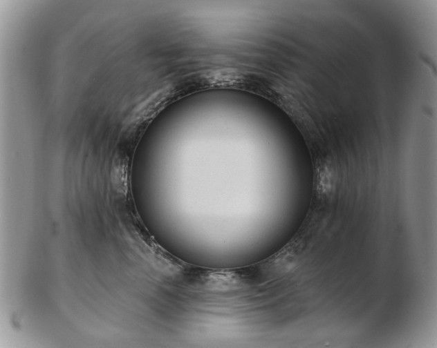 X0000102830666200808251135