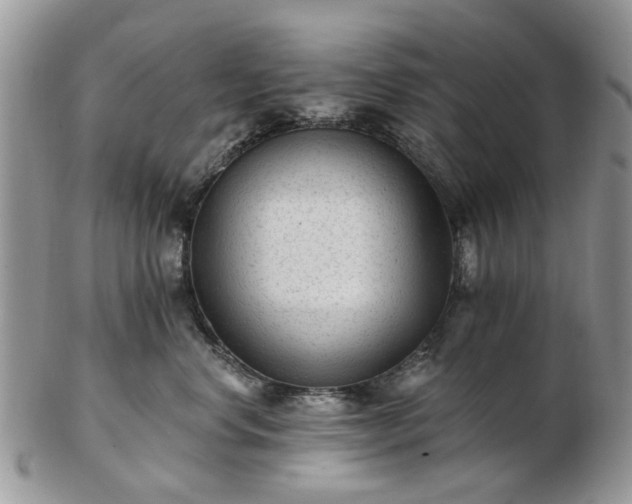 X0000102830668200808251135