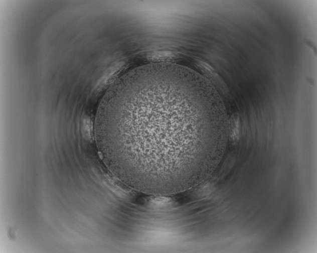 X0000102830669200808251135