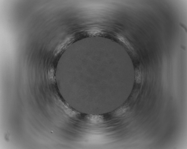 X0000102830670200808251135