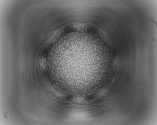 X0000102830671200808251135