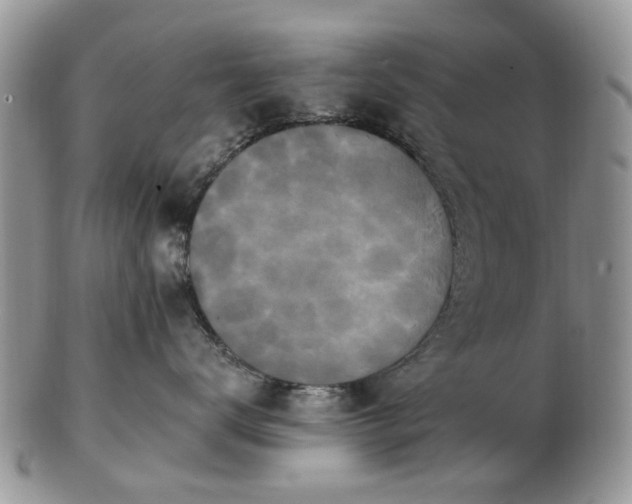 X0000102830672200808251135