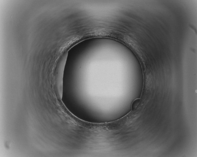 X0000102830673200808251134