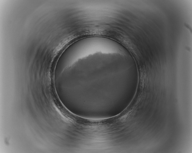 X0000102830674200808251134