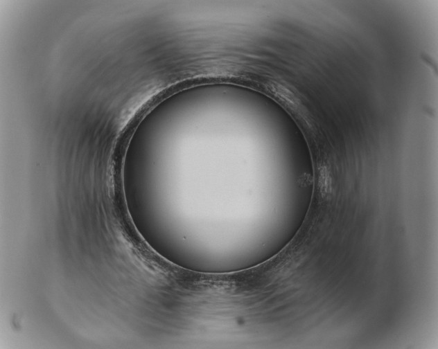 X0000102830676200808251134