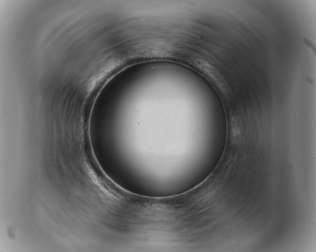 X0000102830677200808251134