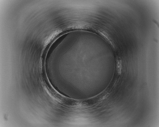 X0000102830678200808251134