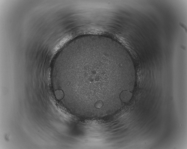 X0000102830679200808251134