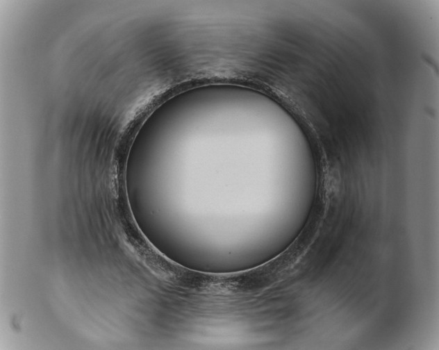 X0000102830680200808251134