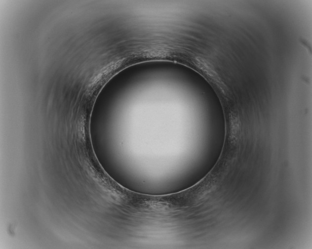 X0000102830681200808251134