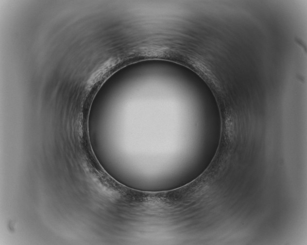 X0000102830682200808251134