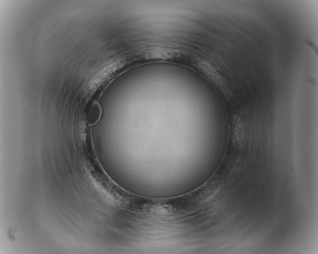 X0000102830683200808251134