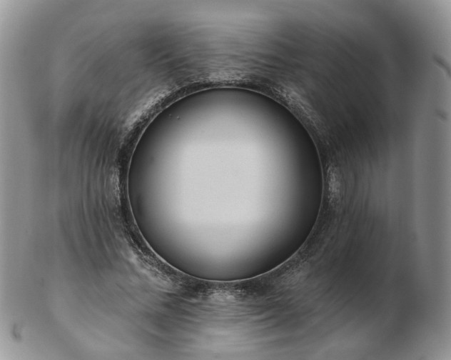 X0000102830684200808251134