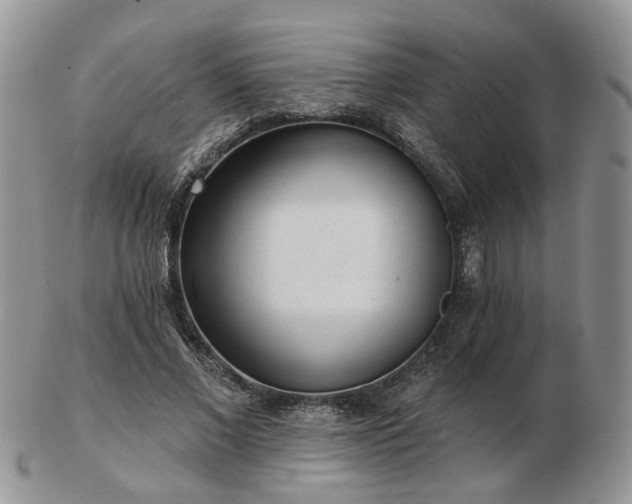 X0000102830685200808251134