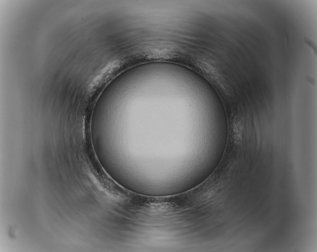 X0000102830686200808251134