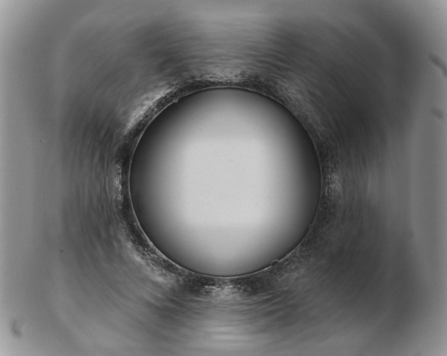 X0000102830688200808251134