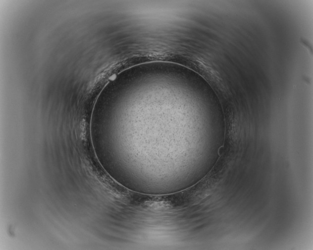 X0000102830689200808251134