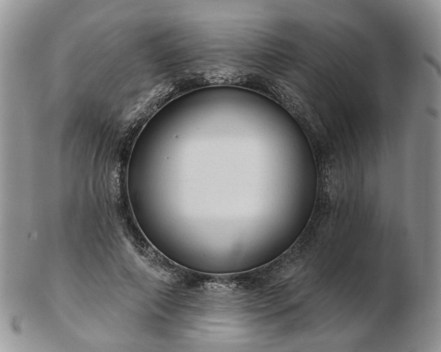 X0000102830690200808251134