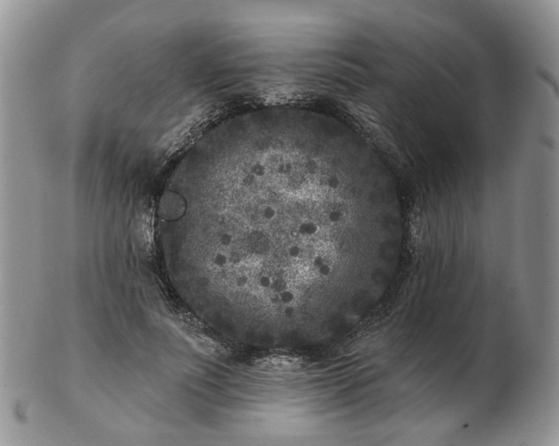 X0000102830691200808251134