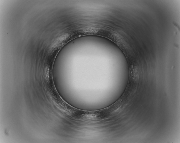 X0000102830692200808251134