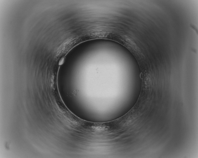 X0000102830693200808251134