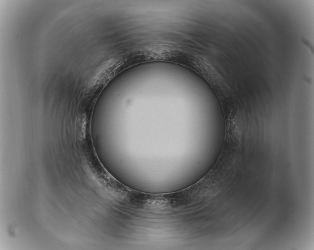 X0000102830694200808251134