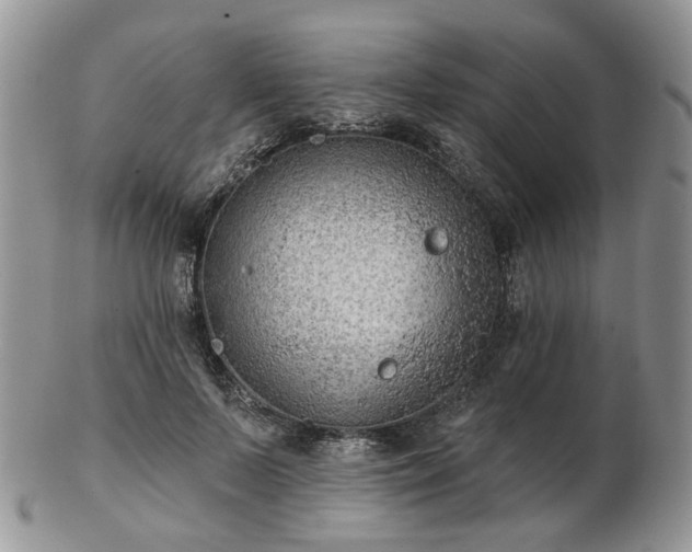 X0000102830695200808251134