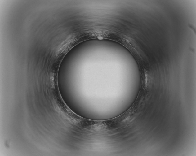 X0000102830696200808251134