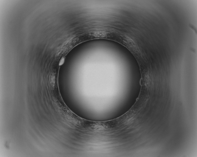 X0000102830697200808251134